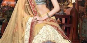 Party Wear Lehenga