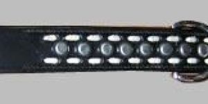 Leather Dog Collar: Dlc-101