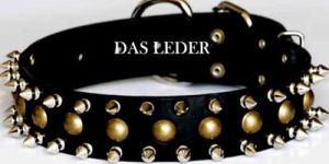 Leather Dog Collar: Dlc-117