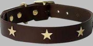 Leather Dog Collar: Dlc-118