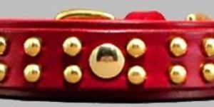 Leather Dog Collar: Dlc-119