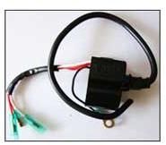 Electronic Ignition Parts