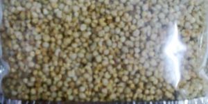 Rosted Bajra Masala Namkeen