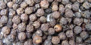 Black Pepper Seeds