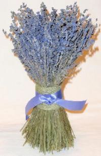 Dried Lavender Flowers