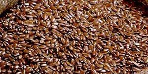 Flax Seeds