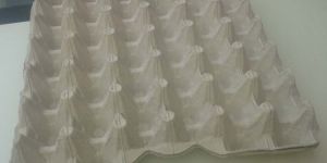 White Disposable Paper Pulp Egg Tray