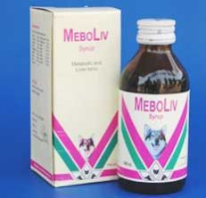 Meboliv Syrup