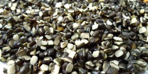 Urad Dal With Skin
