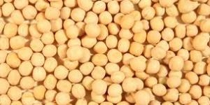 Yellow Peas