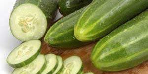 Fresh Cucumber