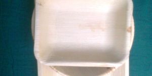 Areca leaf plates - Rectangle