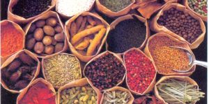 Indian Spices