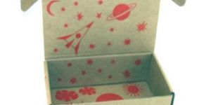 Printed Corrugated Carton Packaging Boxes