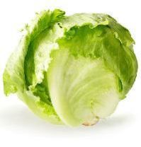 Iceberg Lettuce