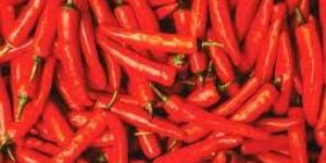 Fresh Red Chillies