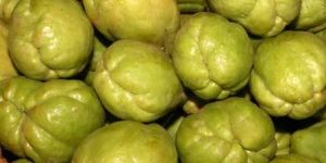 Fresh Chayote