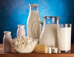 Dairy Product