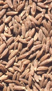 Cumin Seed