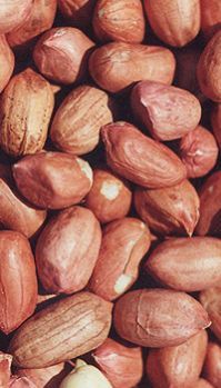 Groundnuts