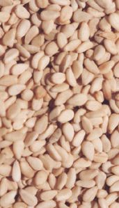 Sesame Seeds
