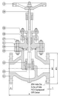 Globe Valve