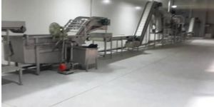Vegetable Processing Machinery