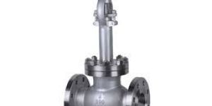 Cryogenic Globe Valve