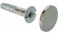 Mirror Screw