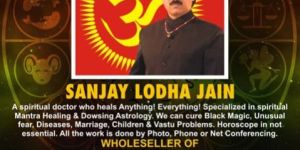 Micro Astrology Services