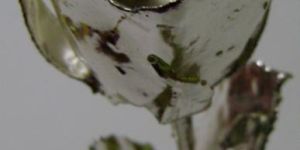 Silver Pooja Articles