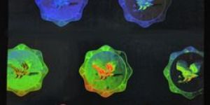 Flying Bird Holographic Overlay