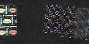 Void Tamper Hologram Original Labels