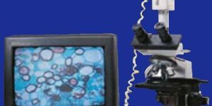 Trinocular Research Microscope