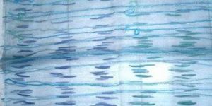 Ladies Blue Hand Block Printed Cotton Sarong