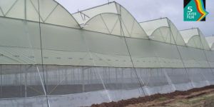 Green House Covering Films