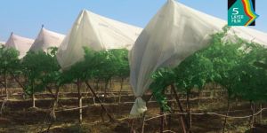 Pro Grape Cover Films