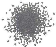 Oregano Seeds