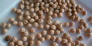 White Chickpeas