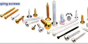 Self Tapping Screws