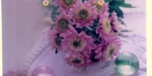 Paper Gift Bags PGB-001