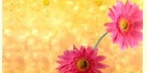 Paper Gift Bags PGB-002