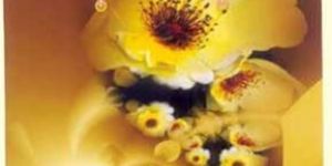 Paper Gift Bags PGB-003