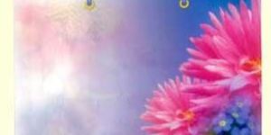 Paper Gift Bags PGB-005