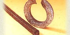 Carbon Fibre Packing-INMARCO STYLE 108I/108S