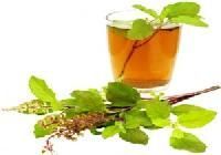 Tulsi Oil