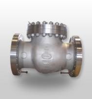 Check Valves