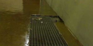 Epoxy Screeding