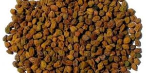 Chana Seeds