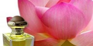 Pink Lotus Attar